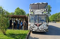 Davet Bus bearb