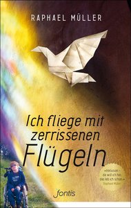Cover Zerrissene Fluegel