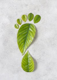 Umwelt still life sustainable lifestyle elements composition