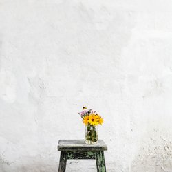 Dankeschoen nordwood themes bp1ydkAtwFI unsplash bearb