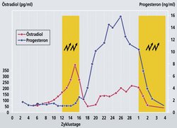 Epilepsie Hormonhaushalt Grafik