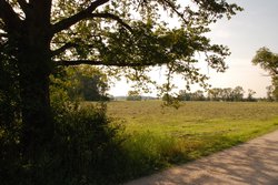 Mein Weg Birnmeyer DSC 0284 privat