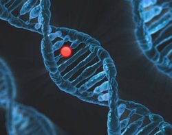 Treat ION dna 6560897 swiftsciencewriting pixabay
