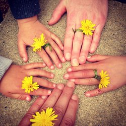 Mein Weg Epilepsie family hand 1636615 Hari Mohan auf Pixabay